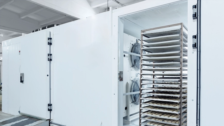 Tunnel di surgelamento e manutenzione sottozero con endoscopi industriali